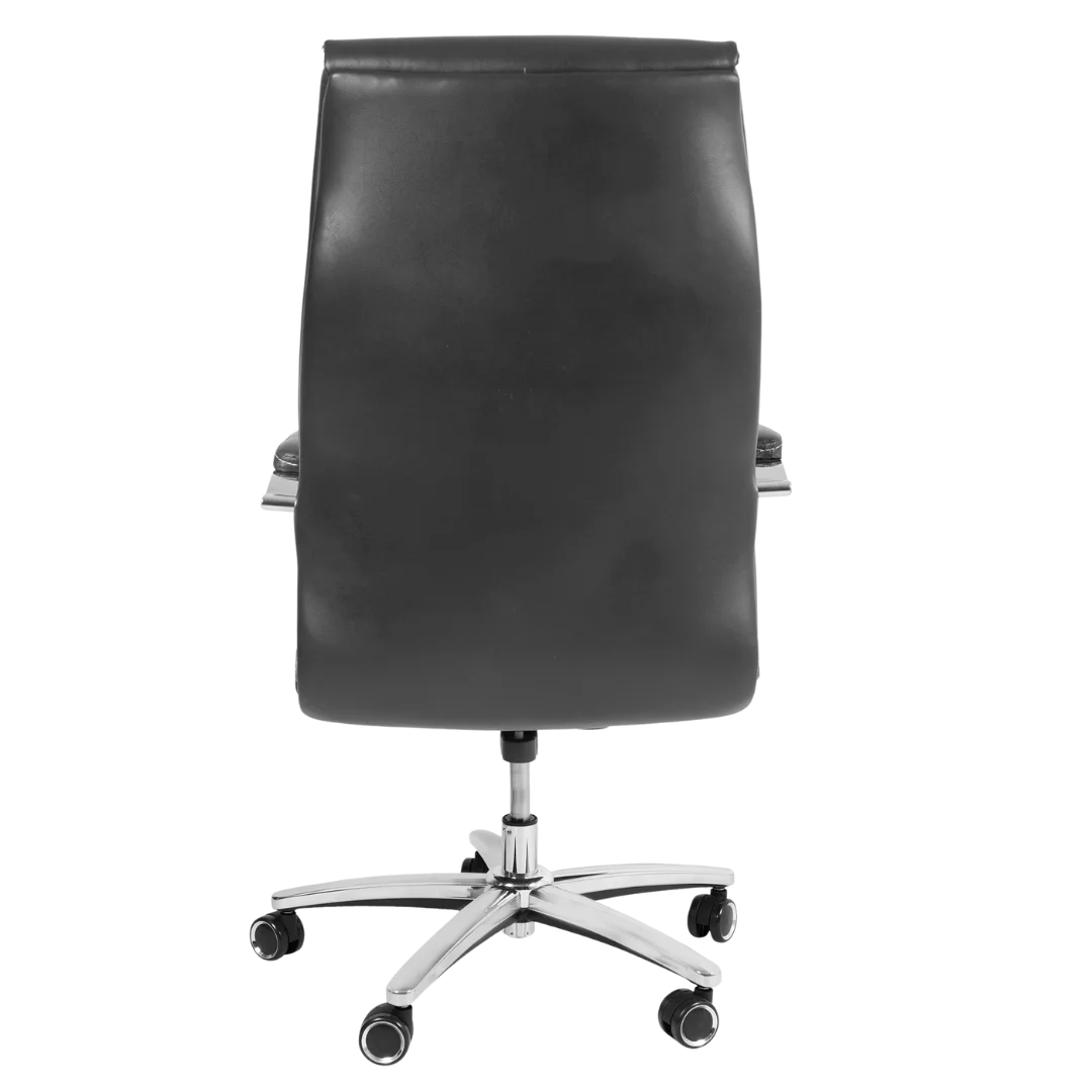 Lavesso Swivel Office Executive Chair (Black) Backside View