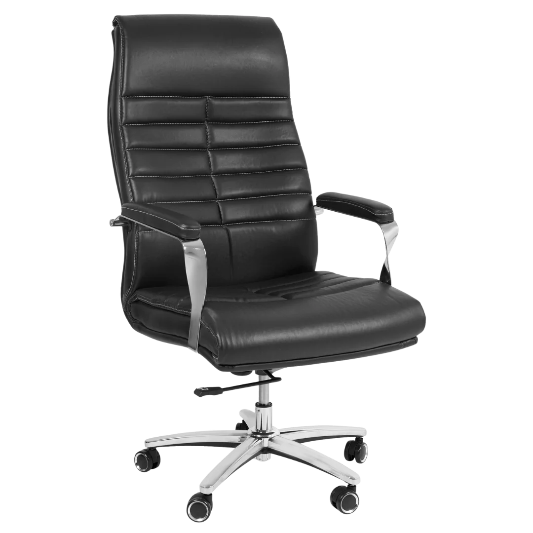 Lavesso Swivel Office Executive Chair (Black) Side View