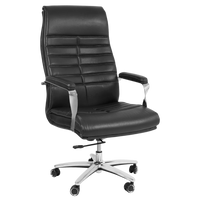Lavesso Swivel Office Executive Chair (Black) Side View