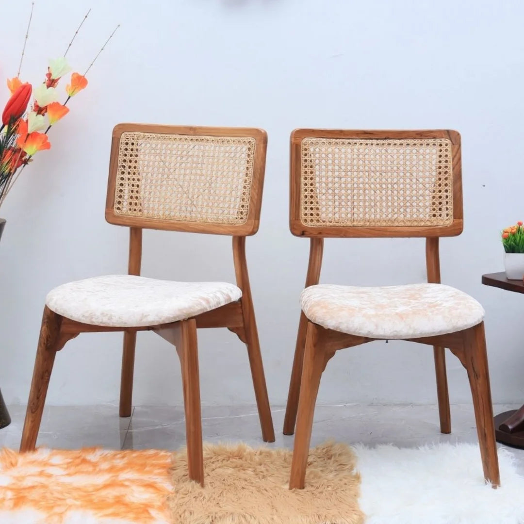 Lifestyle Image of Lattice Teak Wood Dining Chair (Teak Gold)e 