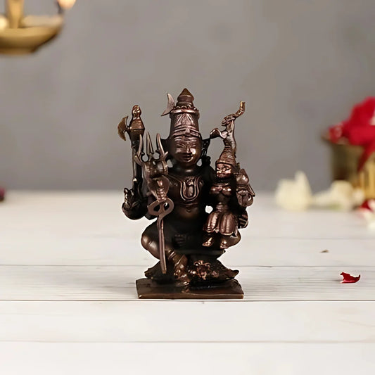 Lord Shiva with Goddess Parvati Brass Idol Lifestyle view