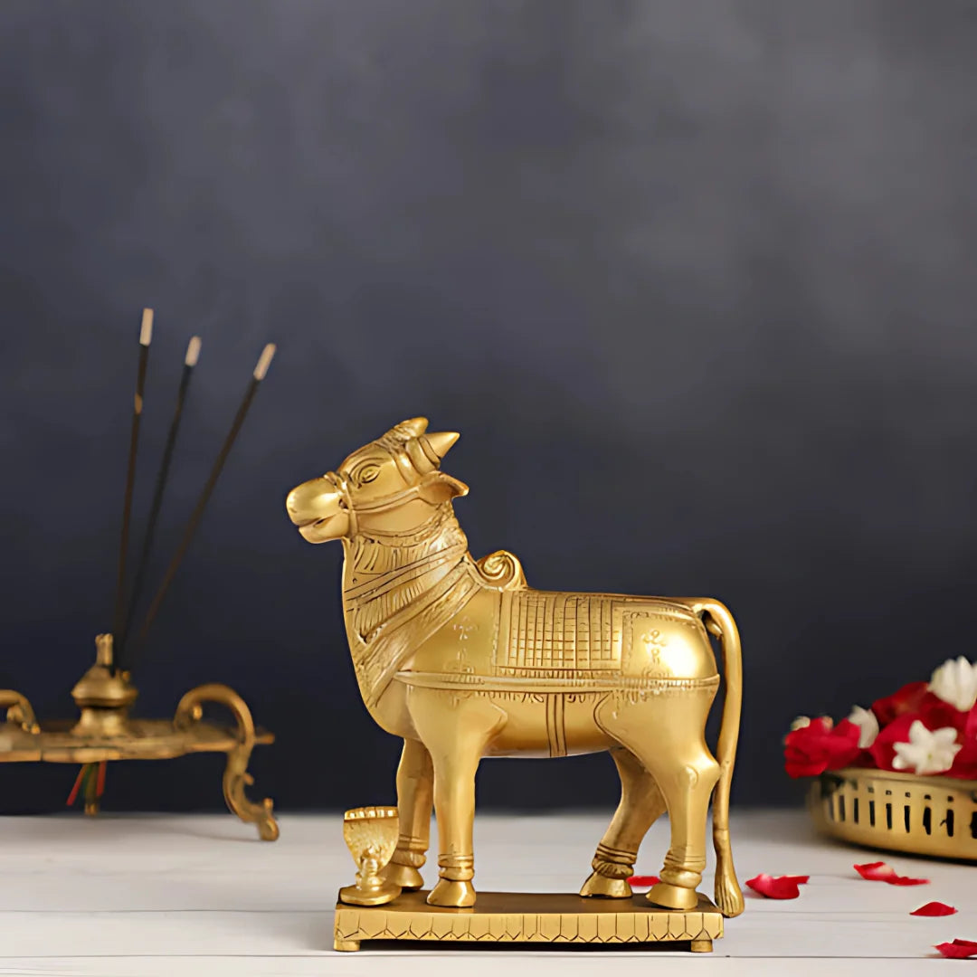 Nandi Brass Idol 5 lifestyle view