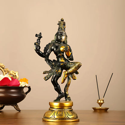 Nataraja Brass Idol 2 lifestyle view