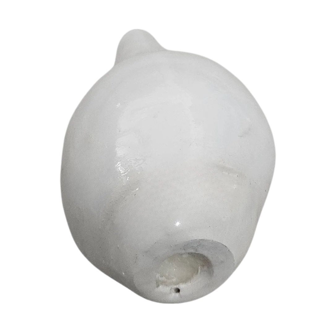 Pooja Shankh for Aarti Sound and Vastu Correction back view
