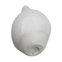 Pooja Shankh for Aarti Sound and Vastu Correction back view