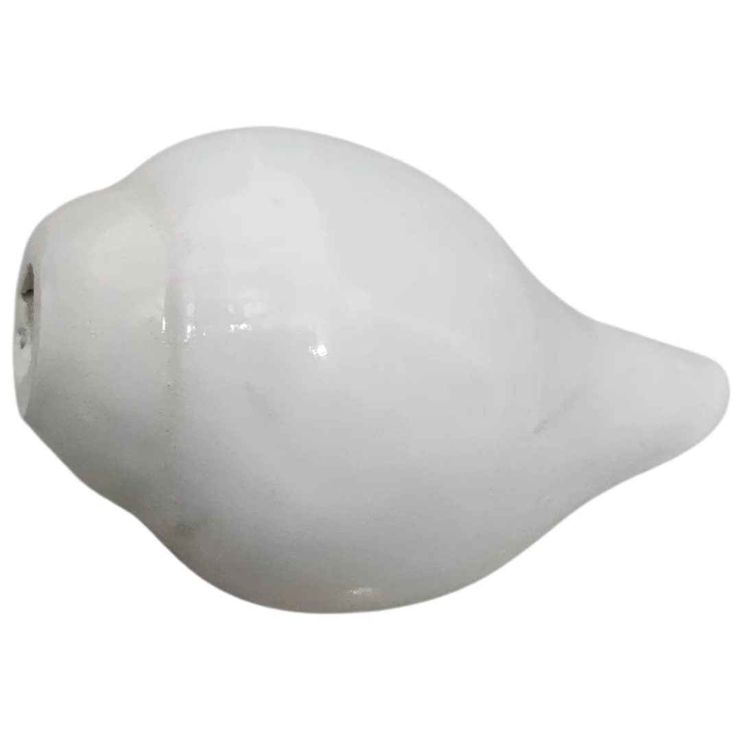 Pooja Shankh for Aarti Sound and Vastu Correction front view