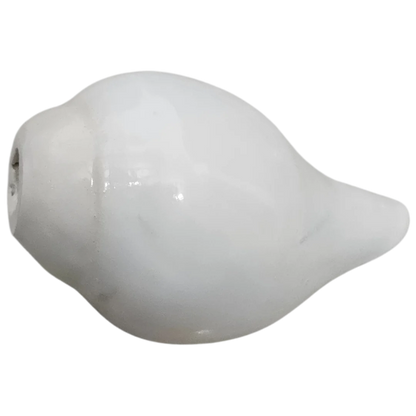 Pooja Shankh for Aarti Sound and Vastu Correction front view
