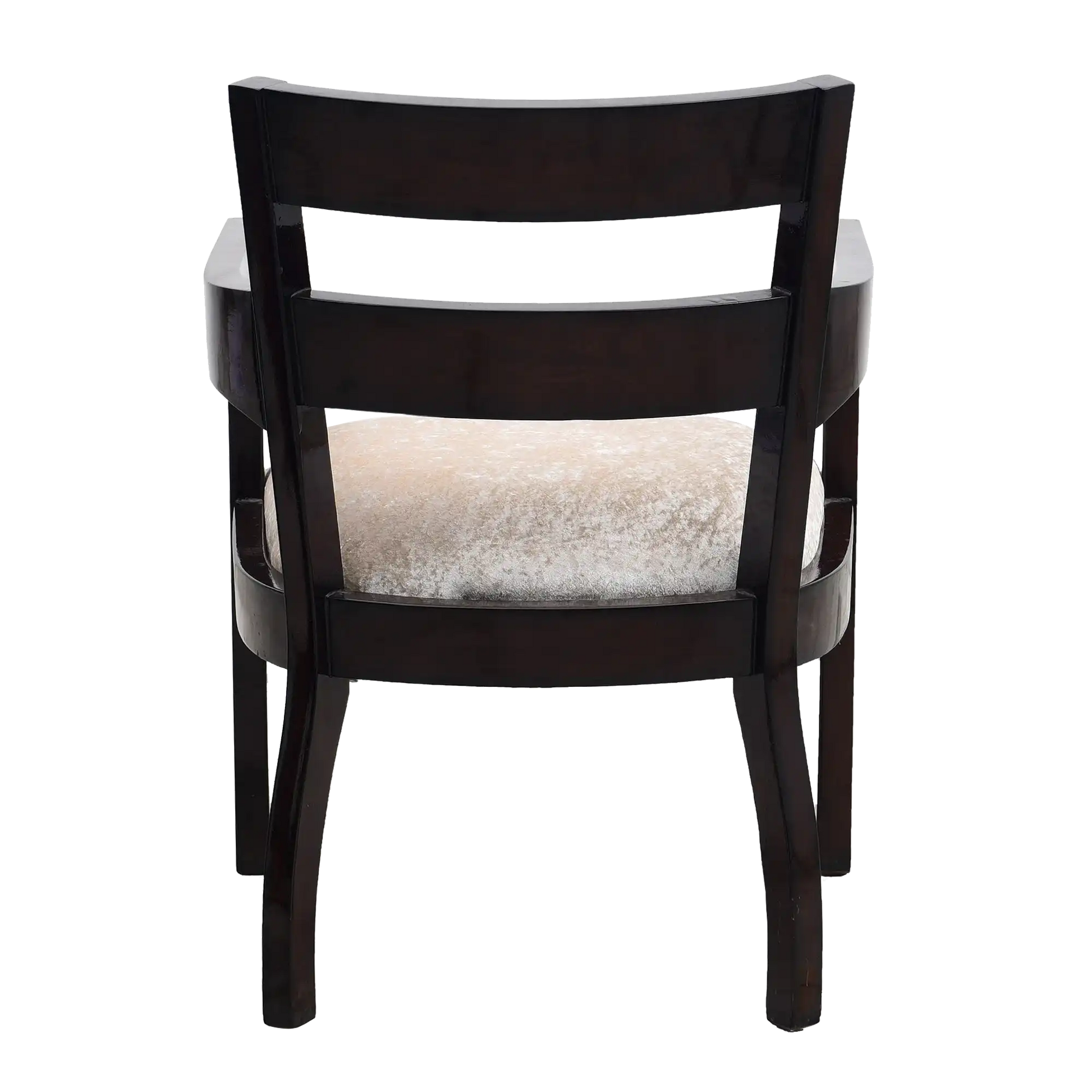 Projakto Teak Wood Living Room Chair in Brown color back view