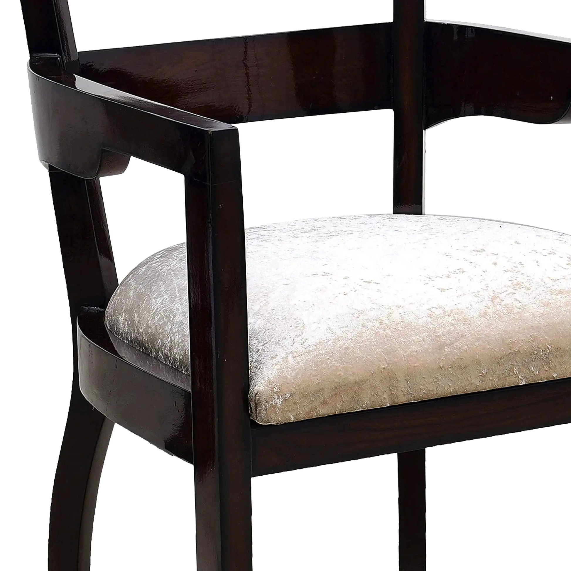 Projakto Teak Wood Living Room Chair in Brown color zoom view cushion