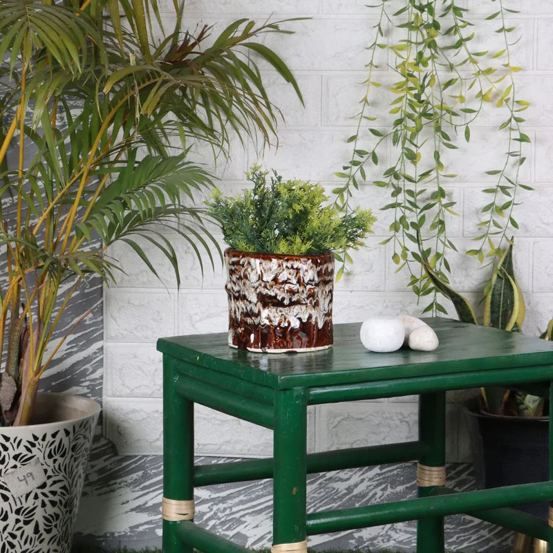 Roveko Ceramic Flower Pot lifesttyle view