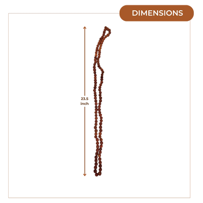 Rudraksha Mala (Large) dimensions