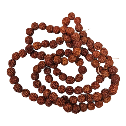 Rudraksha Mala (Large) top view