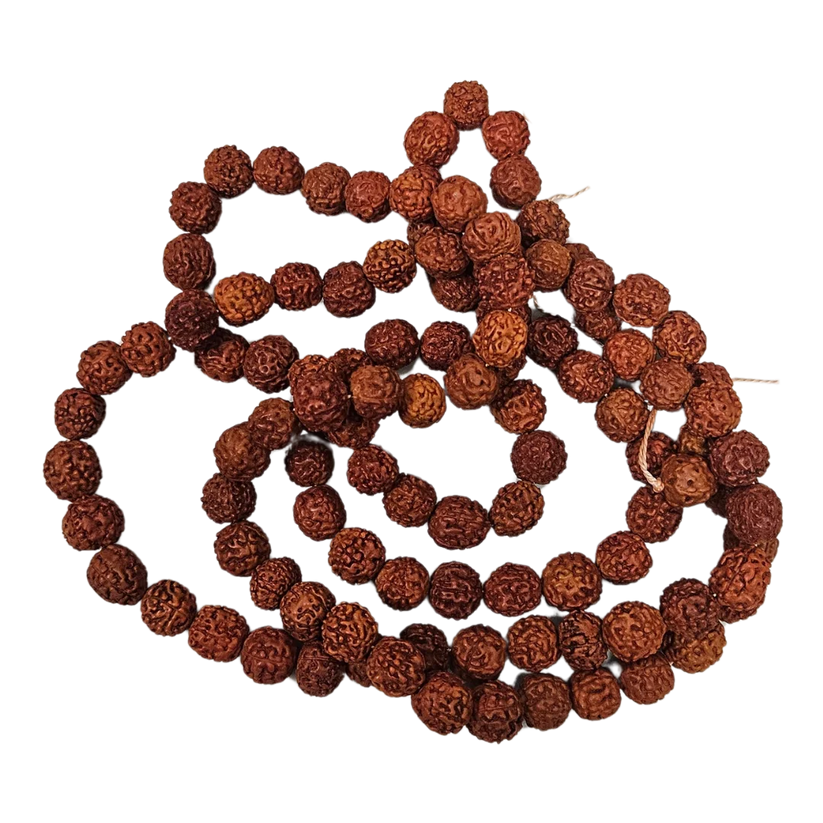 Rudraksha Mala Large
