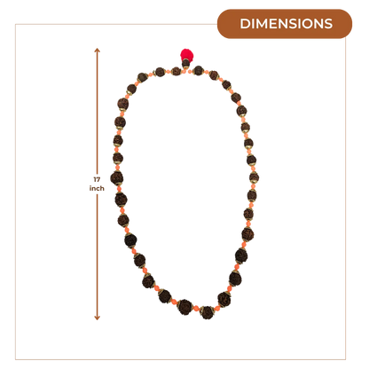 Rudraksha Mala (Small) dimensions