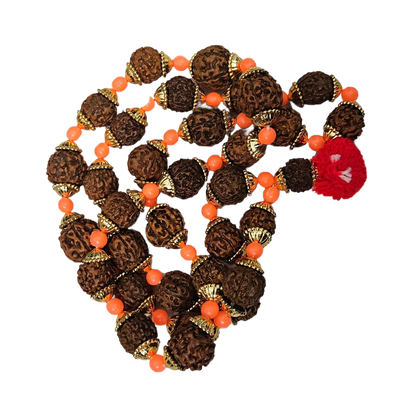Rudraksha Mala (Small) top view