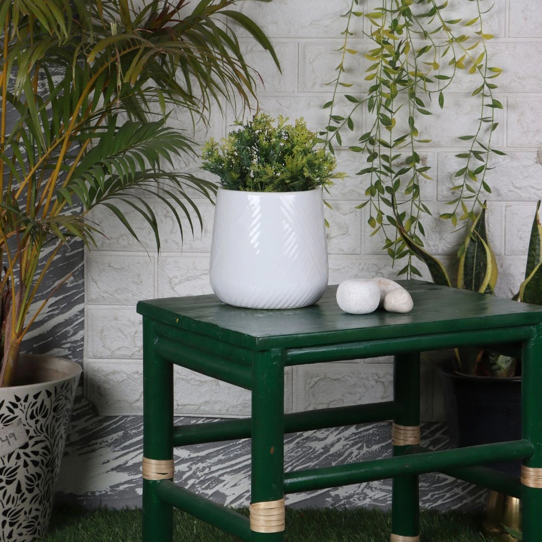 Rynova Ceramic Flower Pot lifestyle view