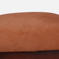 Sahaj Teak Wood Arm Chair (Brown Orange) close  view