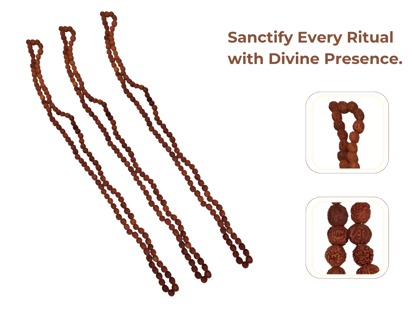 Flat 10% Off Use Code: BLACK10