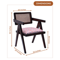 Sora Teak Wood Lounge Chairs (Brown White) dimensions