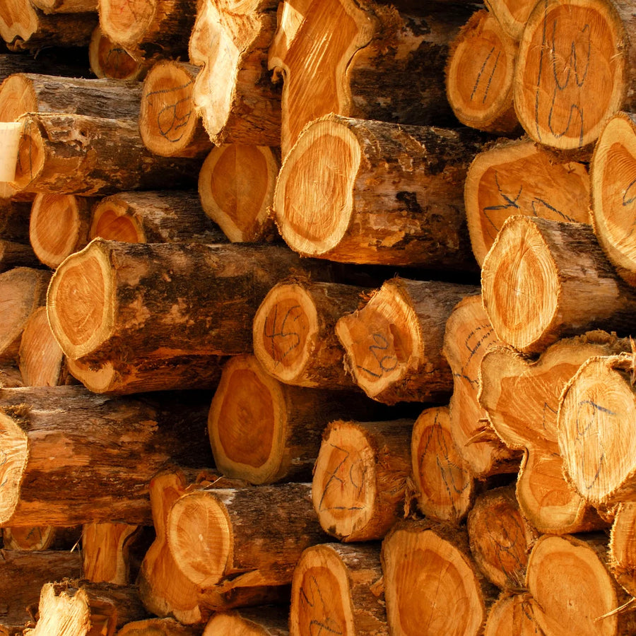 Teak wood.webp__PID:daf8dd63-0679-4be6-99d0-16ba51867a07