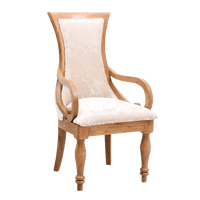 Wlipsy Solid Wood Fabric Wooden Arm Chairs in Teak Gold color 45° side view