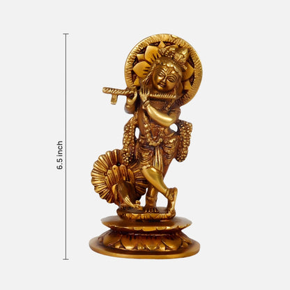 Krishna Idol 1