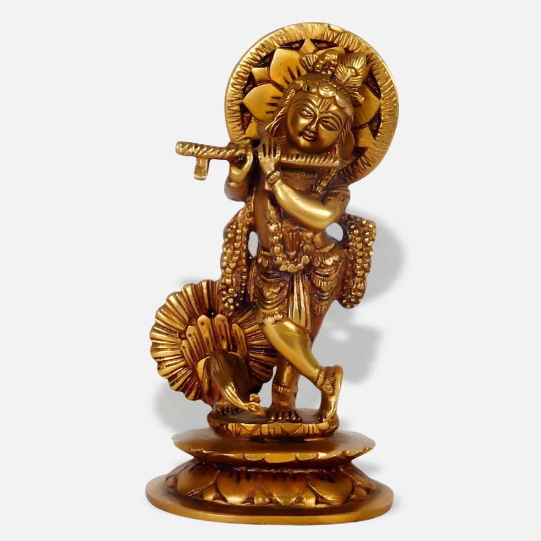Krishna Idol 1