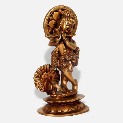 Krishna Idol 1