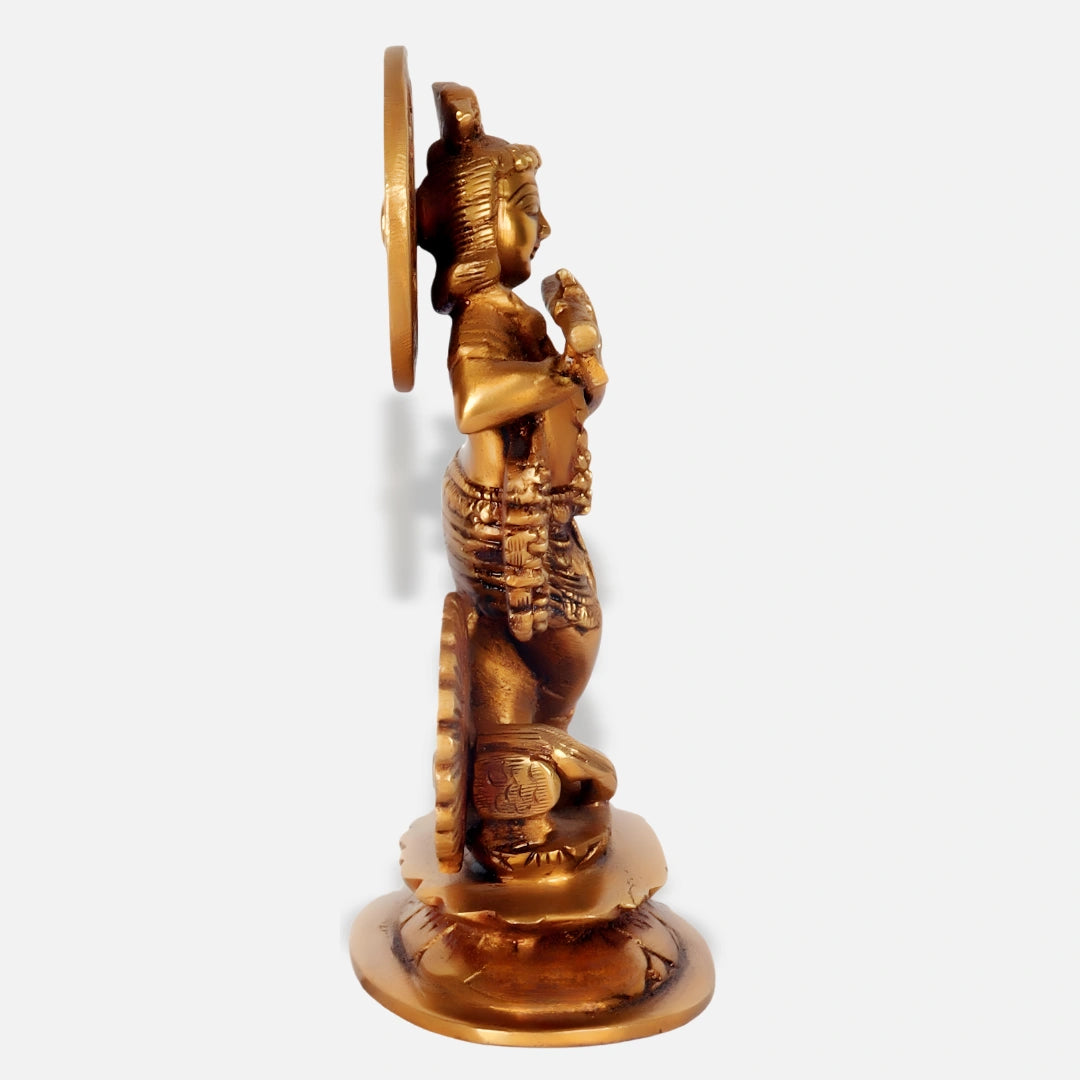 Krishna Idol 1