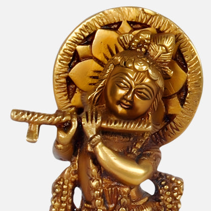 Krishna Idol 1