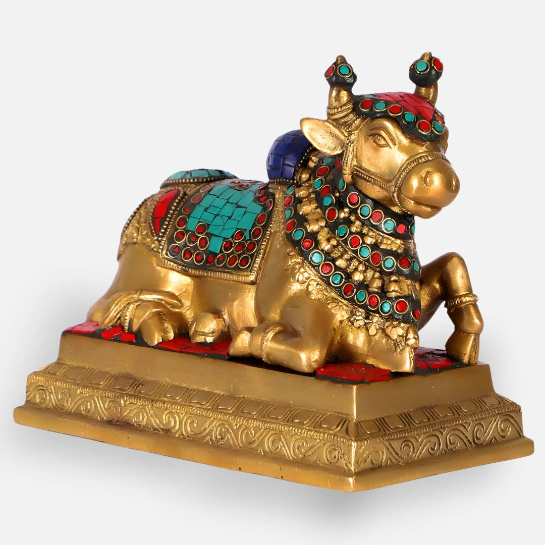 Nandi Brass Idol 2