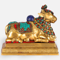 Nandi Brass Idol 2