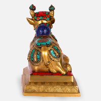 Nandi Brass Idol 2