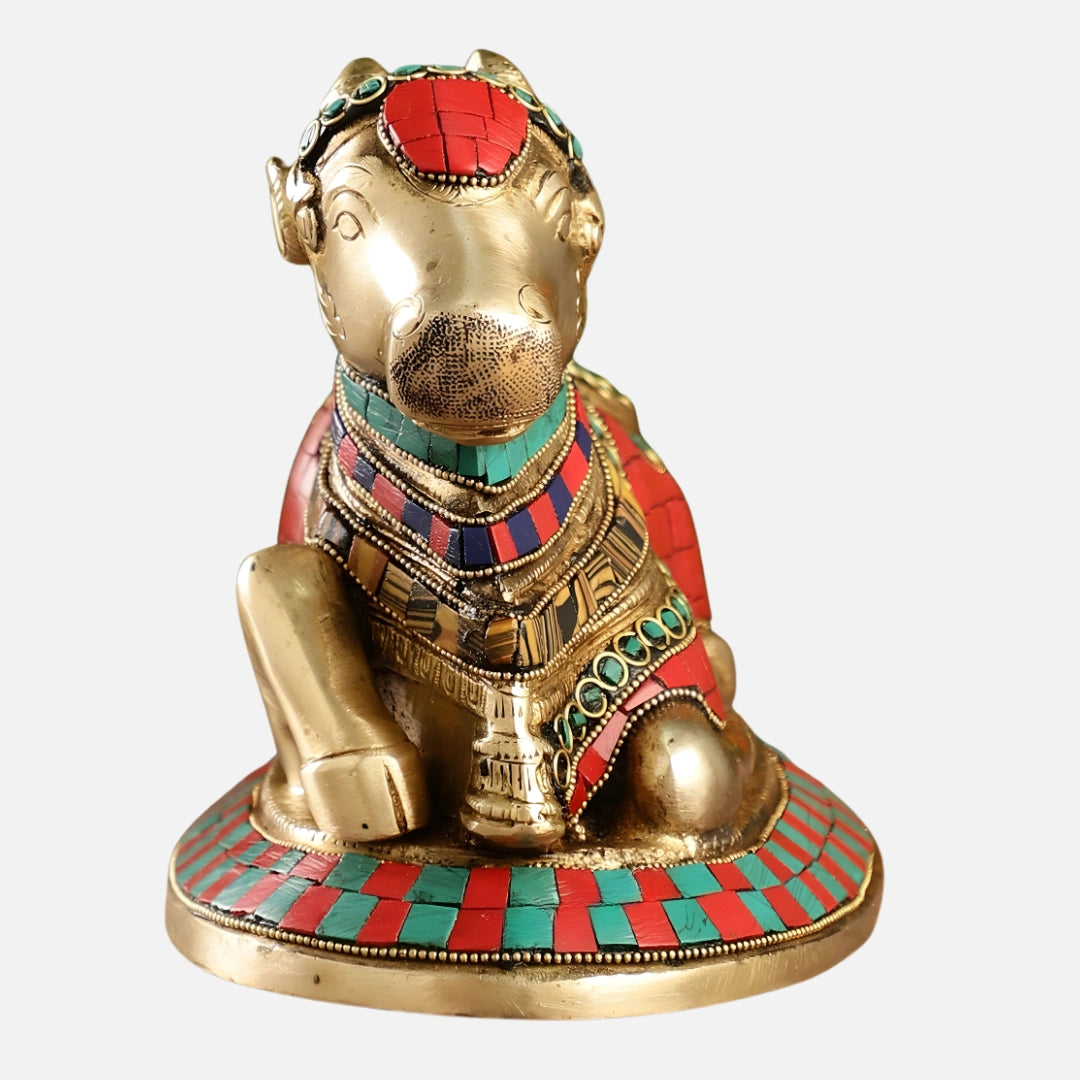 Nandi Brass Idol 3