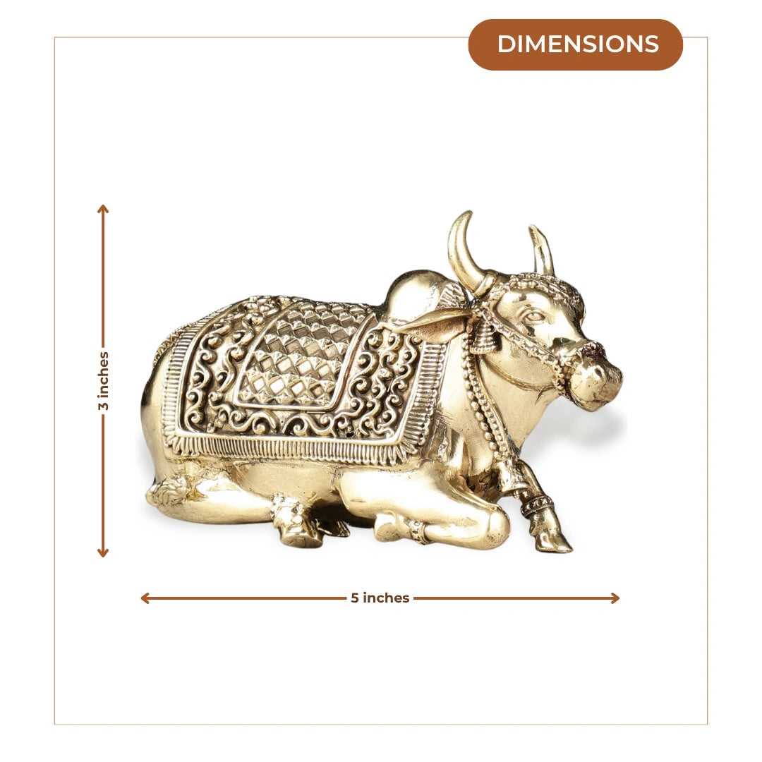 Nandi Brass Idol 4