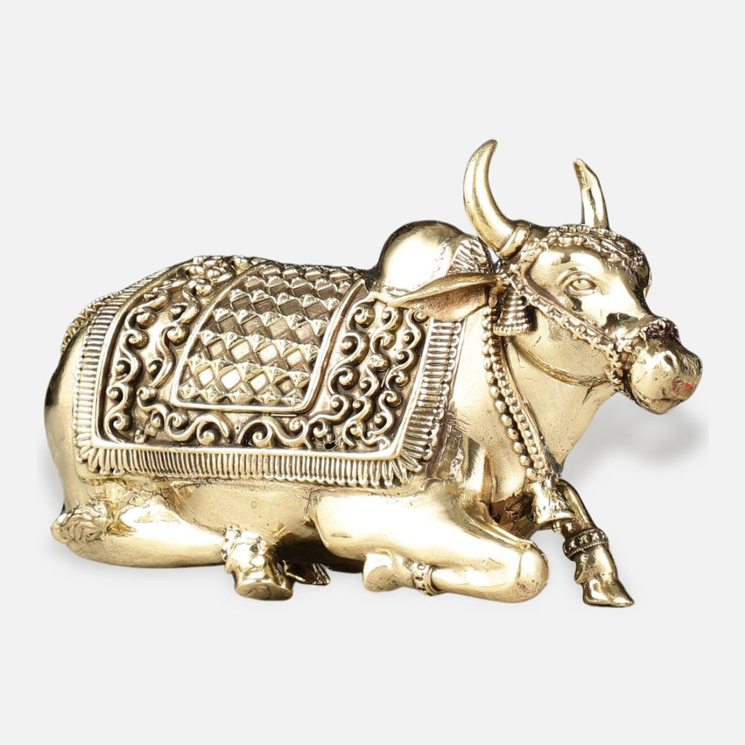 Nandi Brass Idol 4