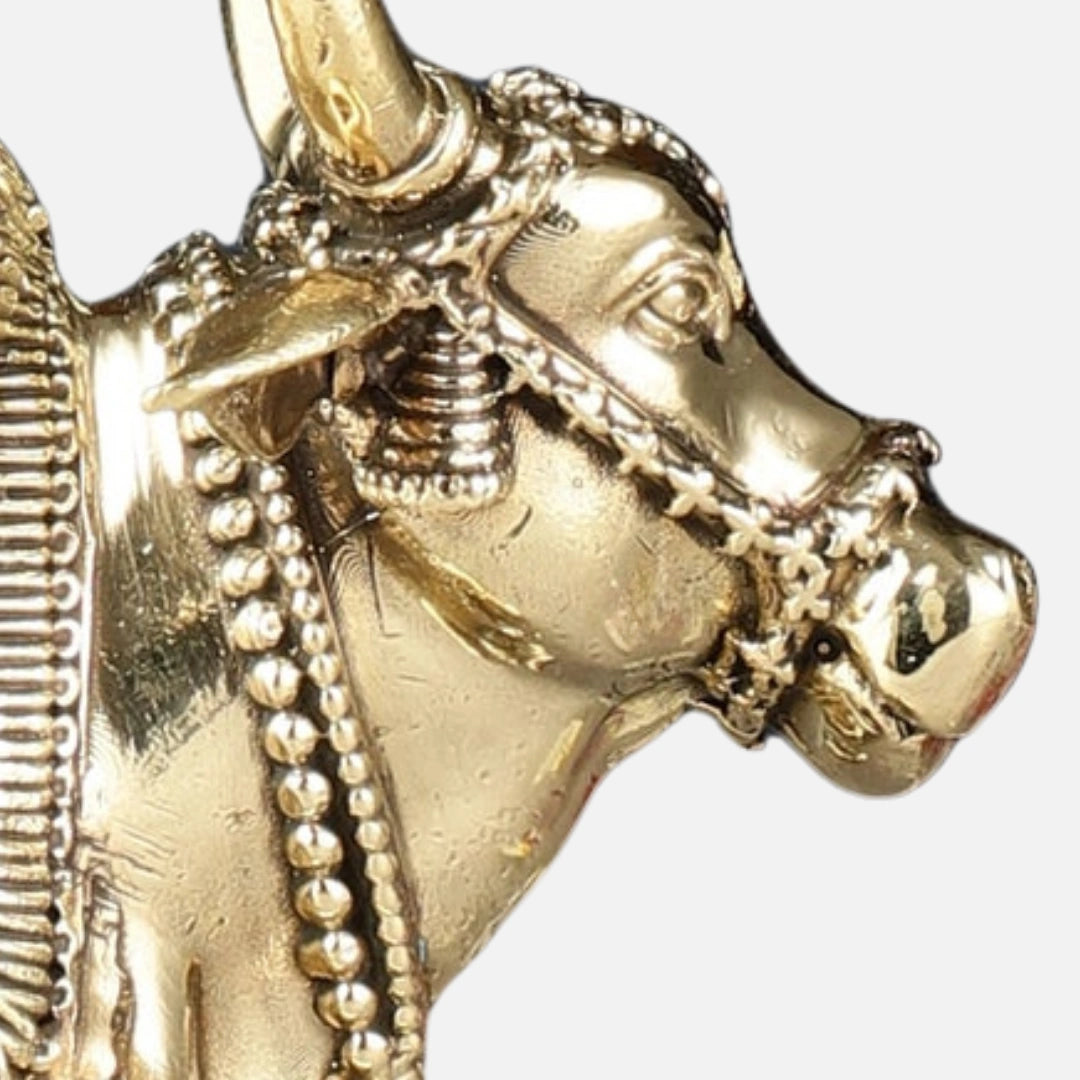 Nandi Brass Idol 4