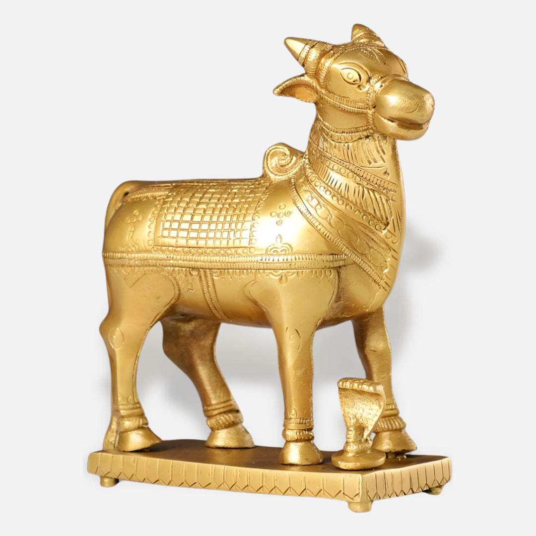 Nandi Brass Idol 5