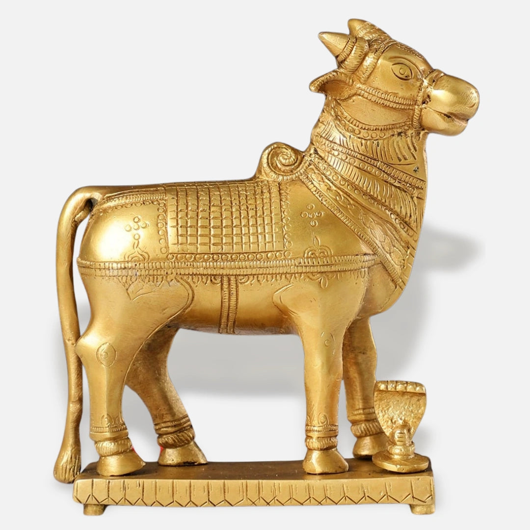 Nandi Brass Idol 5