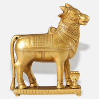 Nandi Brass Idol 5