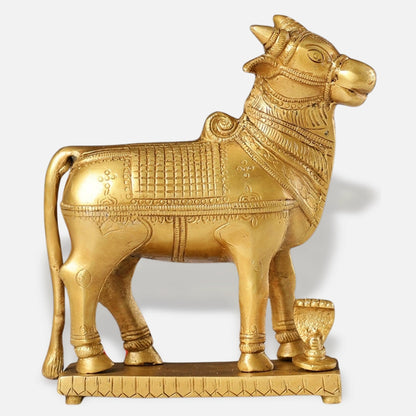 Nandi Brass Idol 5
