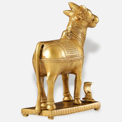 Nandi Brass Idol 5