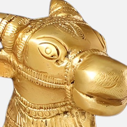 Nandi Brass Idol 5