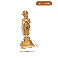 Venkateswara Brass Idol Set