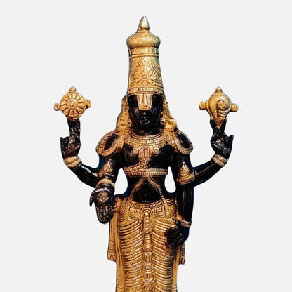 Venkateswara Brass Idol Set
