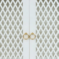 jeevan Teak Wood Mandir (White)  door jalli view 