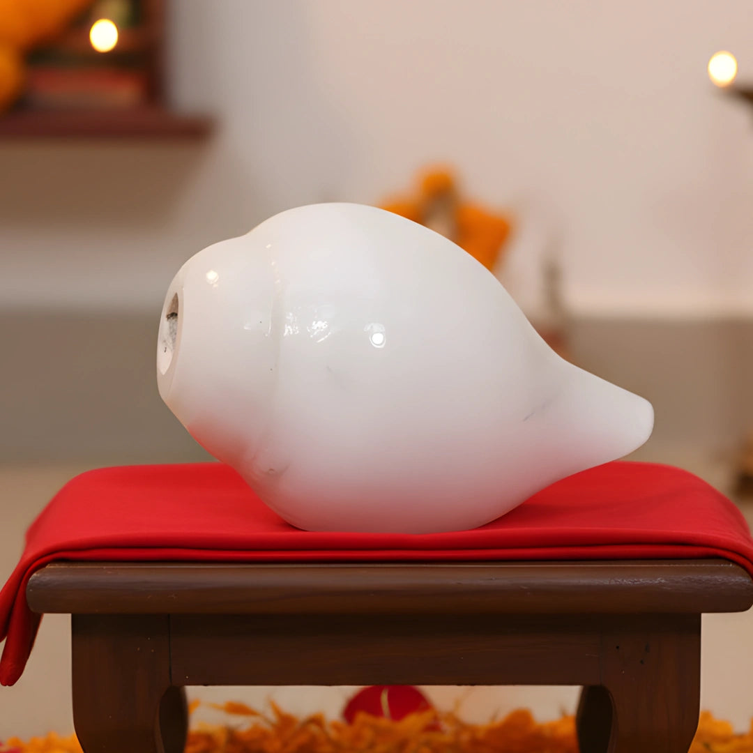 lifestyle image of Pooja Shankh for Aarti Sound and Vastu Correction