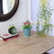 Elisane Ceramic Vase lifestyle view