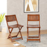 Flecto Solid Wood Living Room Chair (Teak)