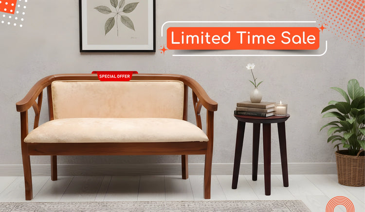 limited time sale offer 